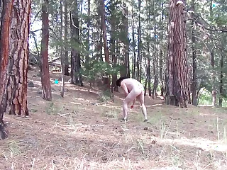 Naked gathering wood&period;